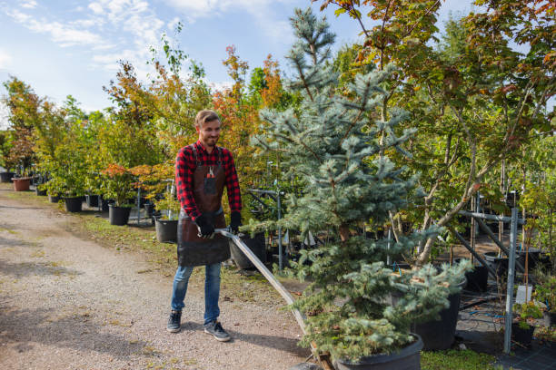 Best Tree Disease Treatment  in Princeton Meadows, NJ